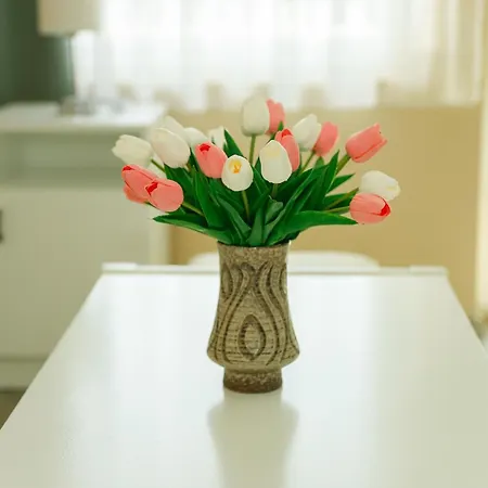 Apartment Bianka *